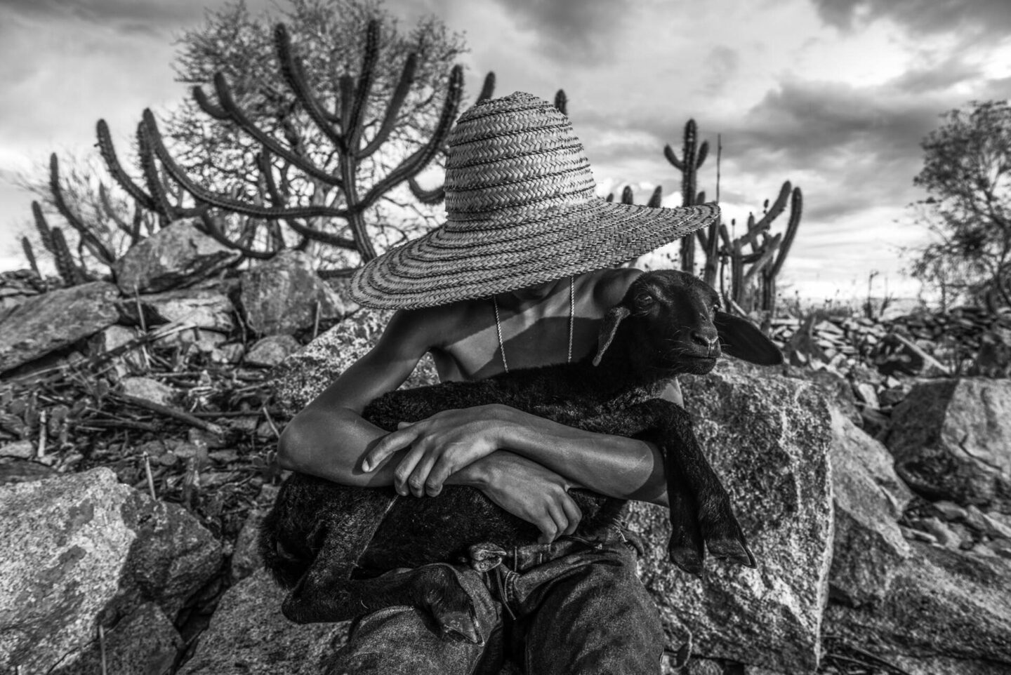 SÉRIE ANCESTRALIDADE